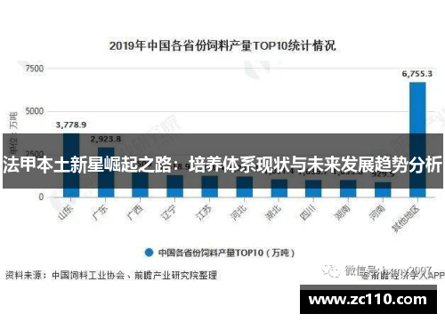 法甲本土新星崛起之路：培养体系现状与未来发展趋势分析